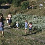 1962-21 (3)