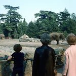 1976-110 (22)