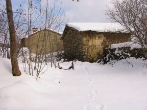 167-6793_IMG