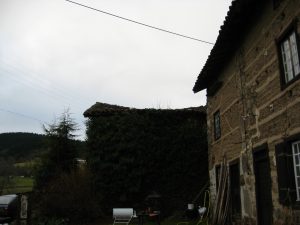 2008_12_19 025